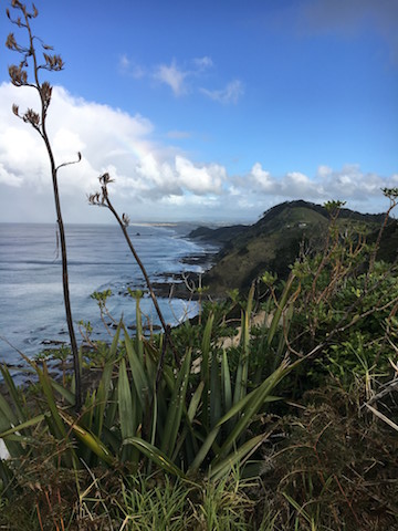 The picturesque Mangawhai Heads surrounded by native wetlands and bush.